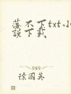 落不下txt小说下载