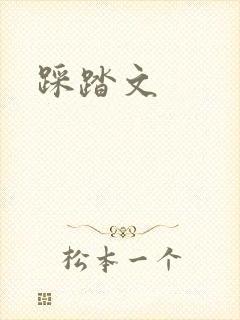 踩踏文封面