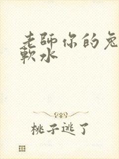 老师你的兔子好软水封面