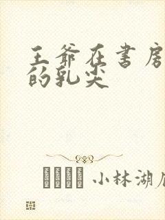 王爷在书房含她的乳尖