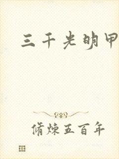 三千光明甲