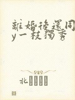 离婚后还同居by一枝独秀