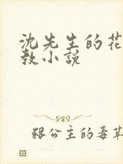 沈先生的花式调教小说封面