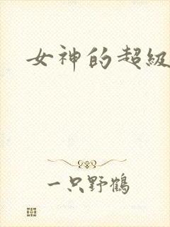 女神的超级赘婿