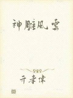 神雕风云