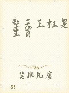 擎天玉柱是什么生肖