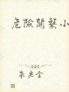 危险关系小说