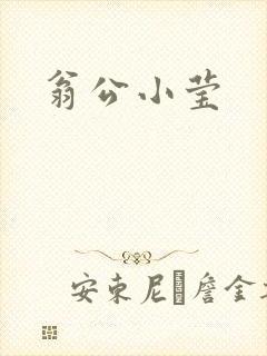 翁公小莹