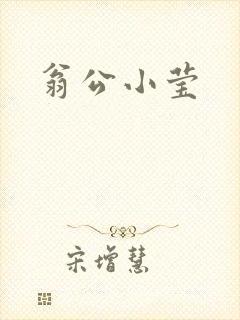 翁公小莹封面