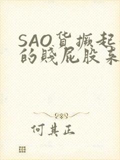 SAO货撅起你的贱屁股来封面