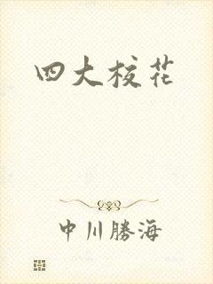 四大校花封面