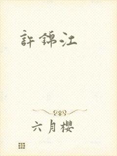 许锦江封面