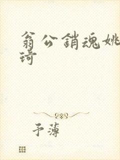 翁公销魂姚瑶琦琦封面