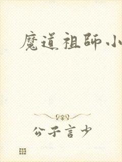 魔道祖师小说