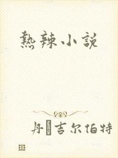 热辣小说
