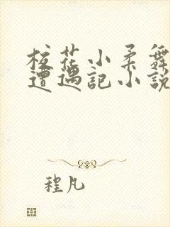 校花小柔舞蹈室遭遇记小说