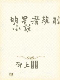明星潜规则之皇 小说
