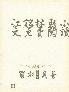 江铭林熙小说全文免费阅读