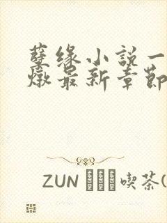 孽缘小说一家乱炖最新章节阅读