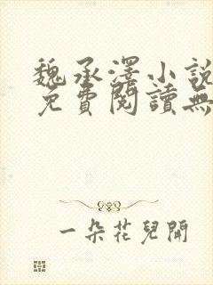 魏承泽小说全文免费阅读无弹窗笔趣