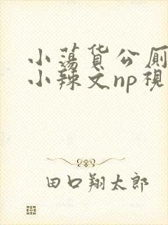 小荡货公厕h文小辣文np视频