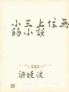 小三上位无三观的小说封面