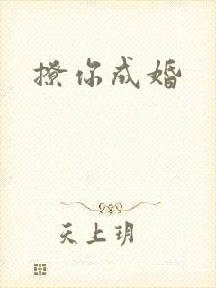 撩你成婚