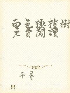 白色橄榄树全文免费阅读