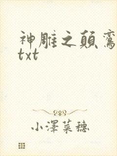 神雕之颠鸾倒凤txt