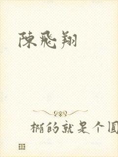 陈飞翔封面