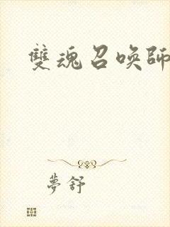 双魂召唤师