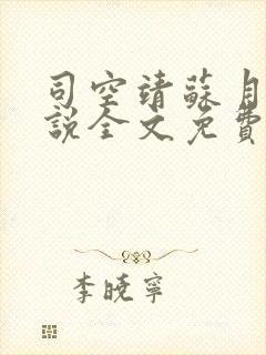 司空靖苏月汐小说全文免费阅读封面