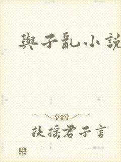 与子乱小说