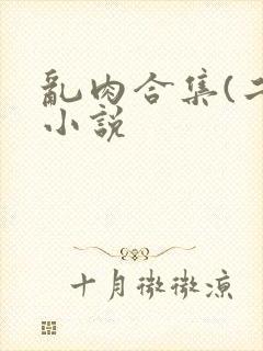 乱肉合集(二)小说