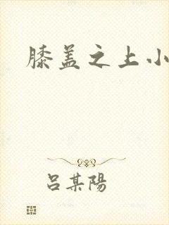 膝盖之上小说封面