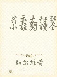 省委大秘楚东恒小说阅读全文