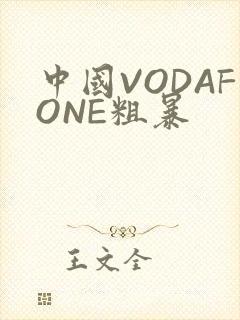 中国VODAFONE粗暴封面