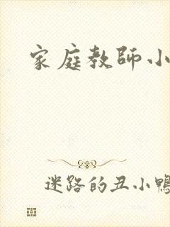 家庭教师小说