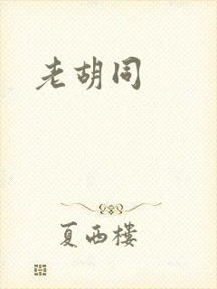 老胡同封面