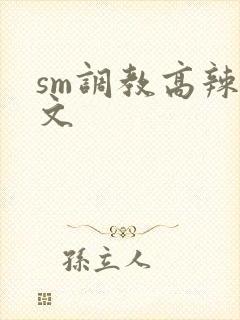 sm调教高辣h文封面