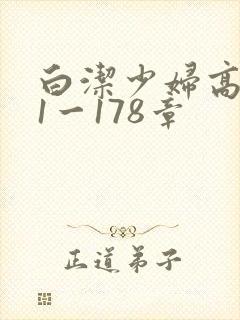 白洁少妇高义第1一178章封面