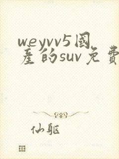 weyvv5国产的suv免费