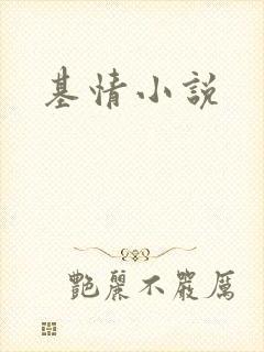 基情小说
