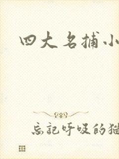 四大名捕小说