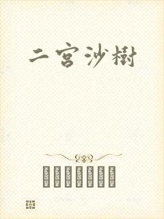 二宫沙树