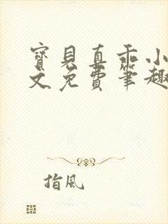 宝贝真乖小说全文免费笔趣阁封面