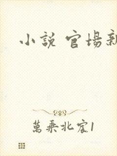 小说 官场新贵