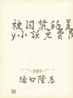 被囚禁的美人by小说免费阅读封面