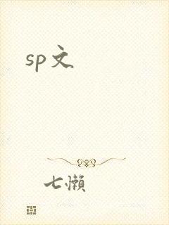 sp文封面