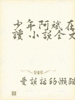少年阿斌在线阅读 小说全文免费